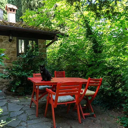 Loggia *